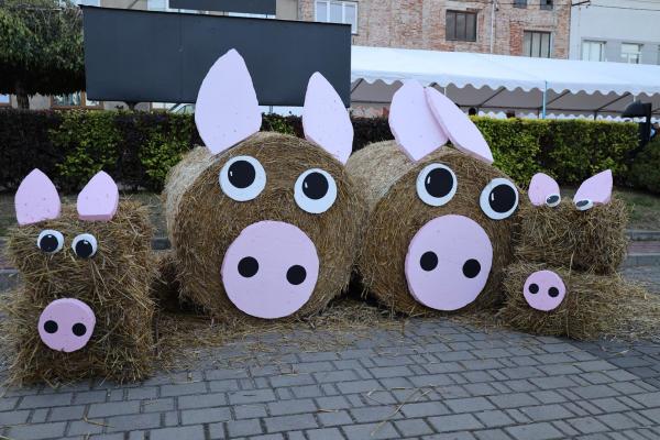 8edb33d803db68323e75b48d34511da9