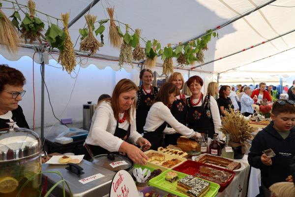 bc3f405c79e7ab05f7a6af03251a4c29