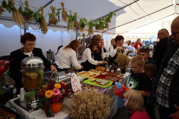 b5e2eb619168eab143d985a602909a27