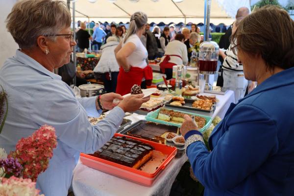 087efaf8b19c090f0499c01ed3a38a93