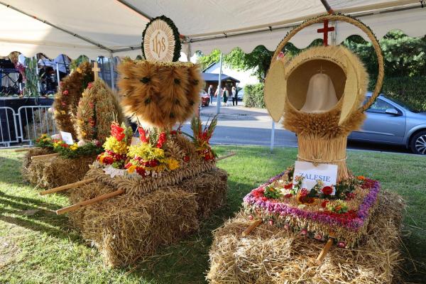 f90d6dea75ba62538f9fd633f4e2d91d