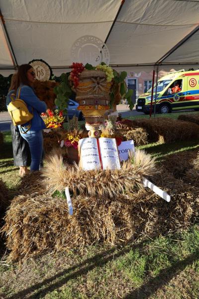 133cd440624301bb2b7886dc4e7b2f37