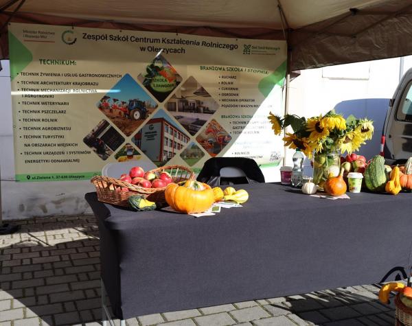 0bdec496affb755bae7936b98b33ce15