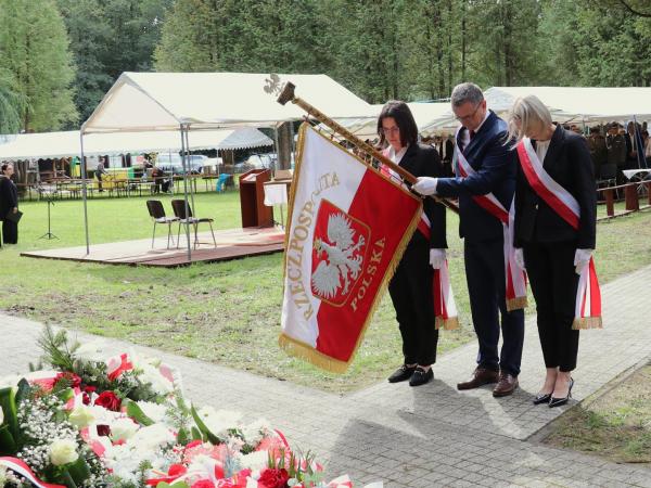 71021d596166fb31524439fed4174e2f