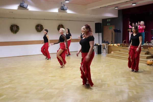 7c00f43b0a15f3ee4851f46dad19e377