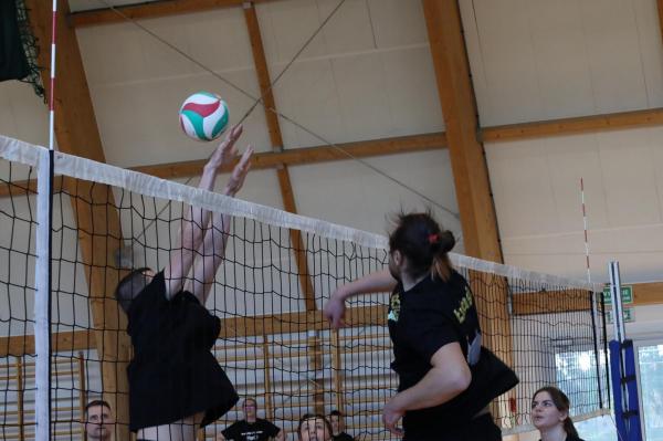 a5940634231c6d5c5588d8b4497e031d