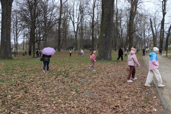 150532627472b446539eb61d2caf67f3