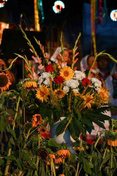 1d06a01cd4e7c70f80f9478de5d1e016