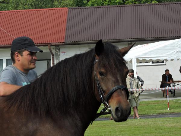 56a2ed80d69d5103fbca286c0274723b