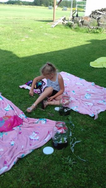 ca3d6cc954548dc205ad4494880be797